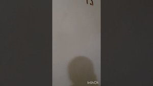 звук прибытия лифта как в мосметро! модернизированные грузопас. лифты КМЗ-2003 проспект пятилеток 2