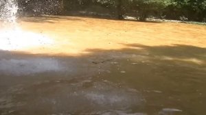 Нападение змеи на девушку во Вьетнаме