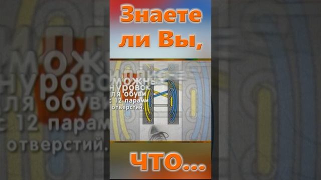 Знаете ли вы, Что? Шнурки