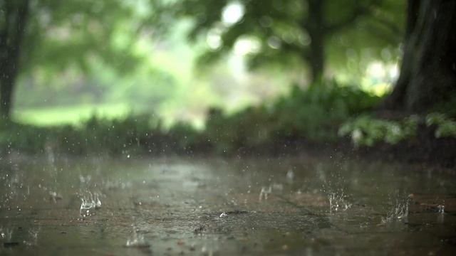 Релакс Дождь Звук дождя для сна, для медитации 2.5 часа.