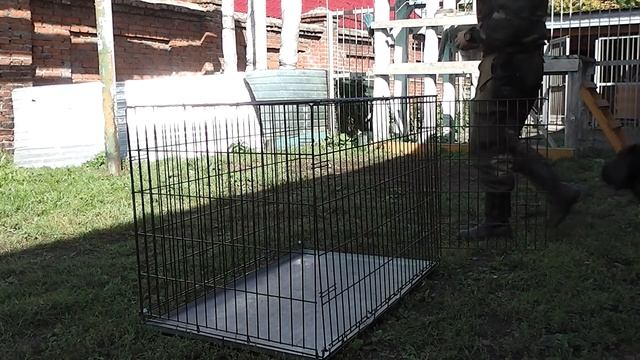 Как приучить собаку к клетке, будке 2 (видео без обработки) смотреть онлайн