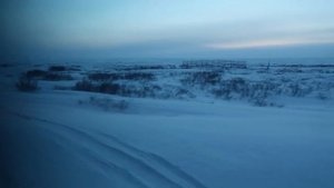 Фирменный поезд «Воркута» 041М Воркута — Москва, купейный вагон