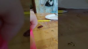 Как сделать жидкий лизун
