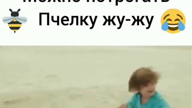 _нельзя трогать пчелку жужу    ДЕДУШКА ЛЁГКОГО ПОВИДЕНИЯ