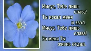 Гимны надежды 60 Иисус, Тебе лишь слава! (-)