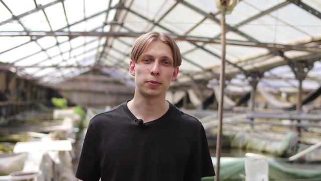 Коммерческий обзор Кои Ферма - прудовая рыба напрямую от кои заводчиков смотреть онлайн