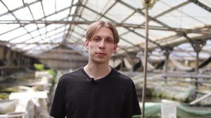 Коммерческий обзор Кои Ферма - прудовая рыба напрямую от кои заводчиков