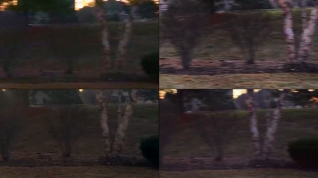 Camera Comparison - GoPro HERO 6, Yi 4K, iPhone X, Nikon D5300 (With Post Processing) смотреть онлайн