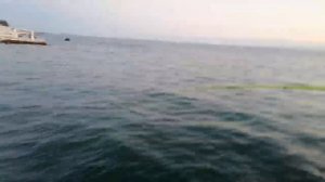 Рыбалка в Сочи вечером. Ловля морского карася (ласкиря) и бычка на креветку