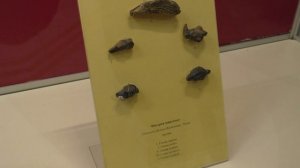 Музей-заповедник  Костенки