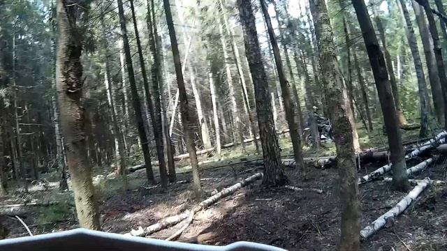 упал .дерево между колесом и крылом смотреть онлайн