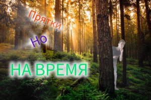 ЭКСТРЕМАЛЬНЫЕ ПРЯТКИ, НО НА ВРЕМЯ!