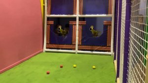 Вика играет в детском центре Пакабата, Нижний Новгород, ТЦ Океанис