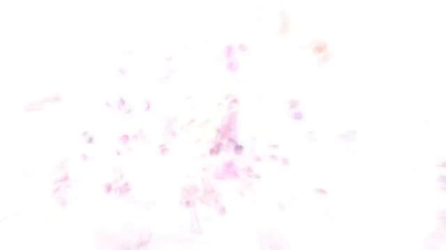 The Elder Scrolls V: Skyrim - Dragonborn Official Trailer смотреть онлайн