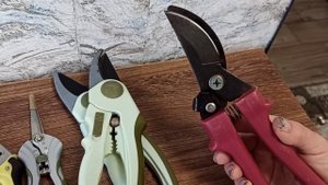 Секаторы. Какой выбрать?