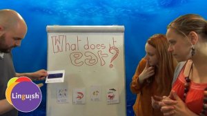 Linguish ESL Games // What do you eat? // LT411