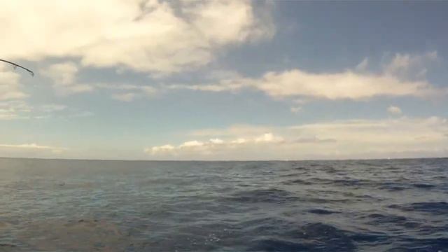 Marlin Action 2012 смотреть онлайн