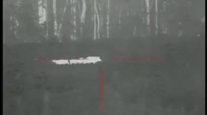 Охота с тепловизором ATN THOR на свинью