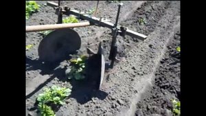 Ручное окучивание картофеля