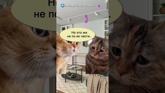 Достучаться до небес #мыкотики #вмем #разговор #анекдот #шутки #кот #юмор #смешное #прикольно #мемы