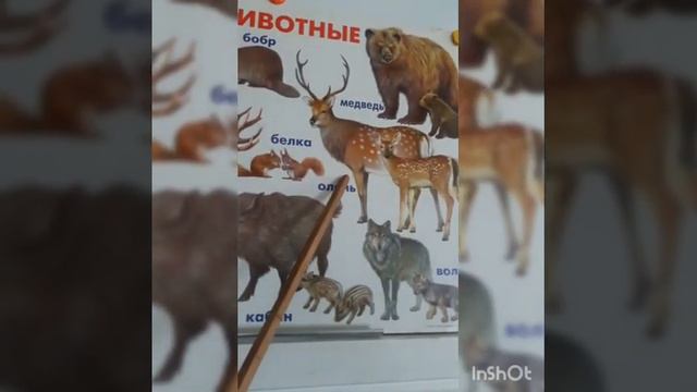 Дикие животные смотреть онлайн