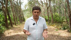 Как купить квартиру на ПХУКЕТЕ (от А до Я)