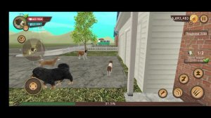 убиваю всех легких боссов в Dog sim.