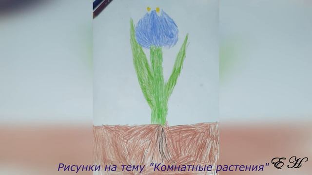 Фотоотчет по домашним заданиям смотреть онлайн