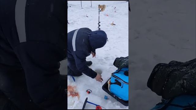 04.02. Рыбалка на форель, Каньон. #рыбалканафорель