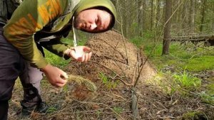 5.?☠?МЕСЯЦ ВЫЖИВАНИЕ В ДИКОЙ ПРИРОДЕ БЕЗ НИЧЕГО _ СЕКРЕТЫ ВЫЖИВАНИЯ _ ГРИБЫ-ДВОЙНИКИ _ КАМЕННЫЙ НОЖ