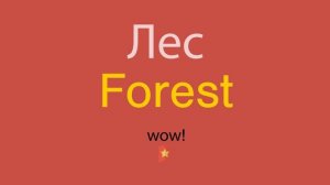 Лес по-английски