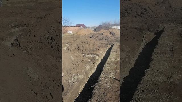 строительство домов из арболита ст Каневская 89186922458, Арболит Юг, Арболит Борода