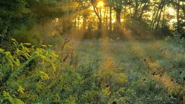 Восточное посвящение женщинам к празднику 8 Марта смотреть онлайн