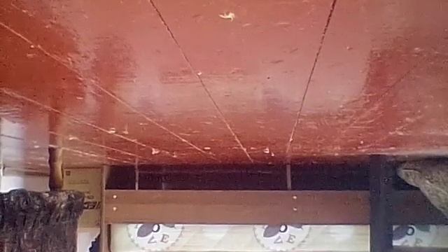 Робот с камерой ?? смотреть онлайн