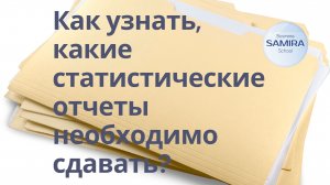 Как узнать, какие стат.отчеты необходимо сдавать ?