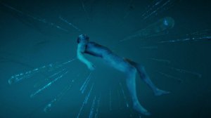 NILETTO - Сказать