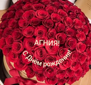 С Днём рождения, Агния!