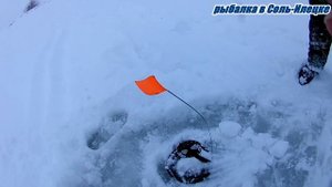 Зимняя рыбалка на жерлицы 2019.