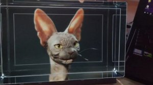 The Looking Glass — a Holographic Display for 3D Creators