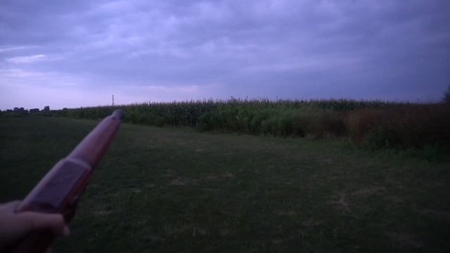 НОВЫЙ ПИРОСТВОЛ + РИМСКИЕ СВЕЧИ ☠️. Взрывали петарды, маленький салют из римских свечей, пиротехник смотреть онлайн