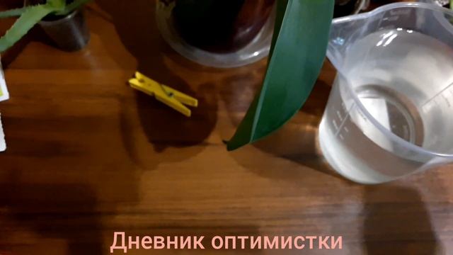 ЛУЧШЕЕ УДОБРЕНИЕ ДЛЯ ОРХИДЕЙ и других цветов! #удобрение #подкормка #орхидеи