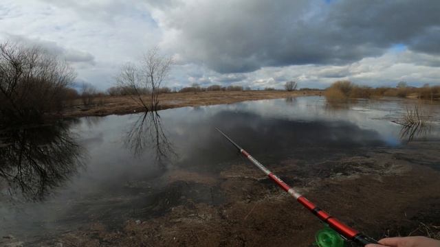 Рыбалка на поплавок удочку с берега / Рыбалка в Котласе / Река Котлашанка смотреть онлайн