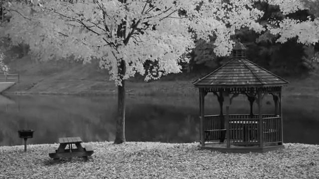 Payiz смотреть онлайн