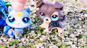 LPS: Распаковка//LPS-с алиэкспресс//Первый колли//