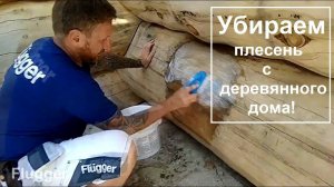 Flugger Facade Anti Green. Как очистить дерево от плесени? Flugger Facade Anti Green