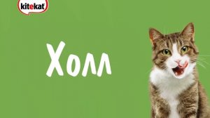 Знакомимся с квартирой вместе с котом Борисом на сайте promo.kitekat.ru