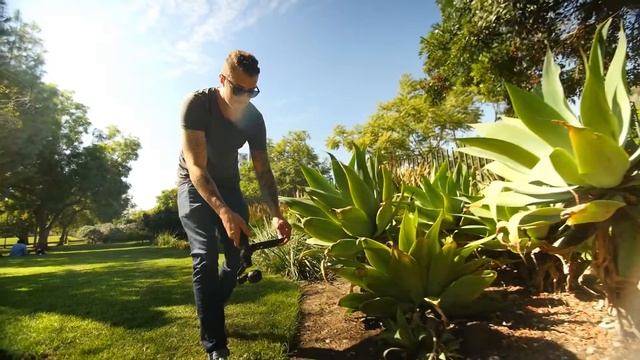 Красочное видео на DJI Osmo смотреть онлайн