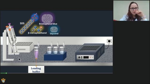 07.02.2022 Консультация по кейсу "Культивирование клеток млекопитающих". смотреть онлайн