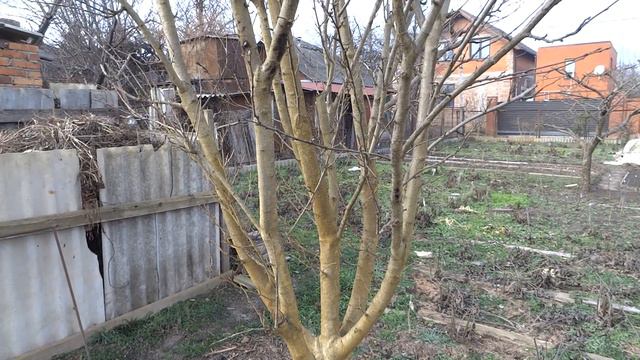 Нет урожая? - Есть "Простые решения" смотреть онлайн