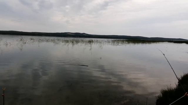 Лапти-караси дали жару. Рыбалка, вечерка, озеро Байсары.